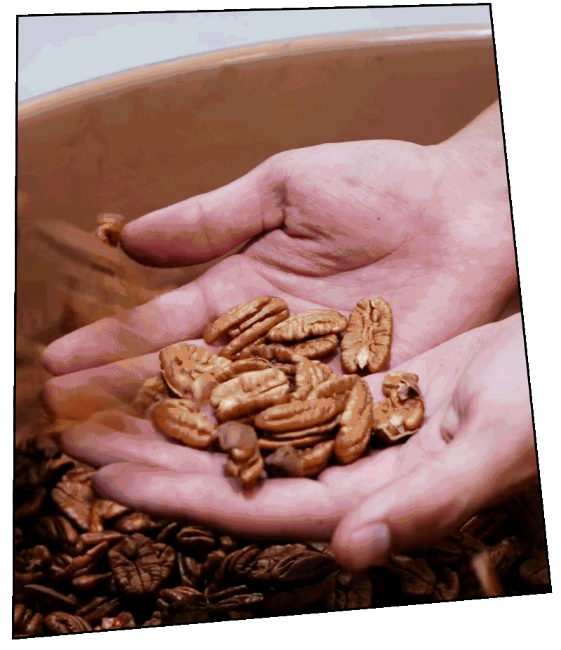 The pecan wasn't the problem